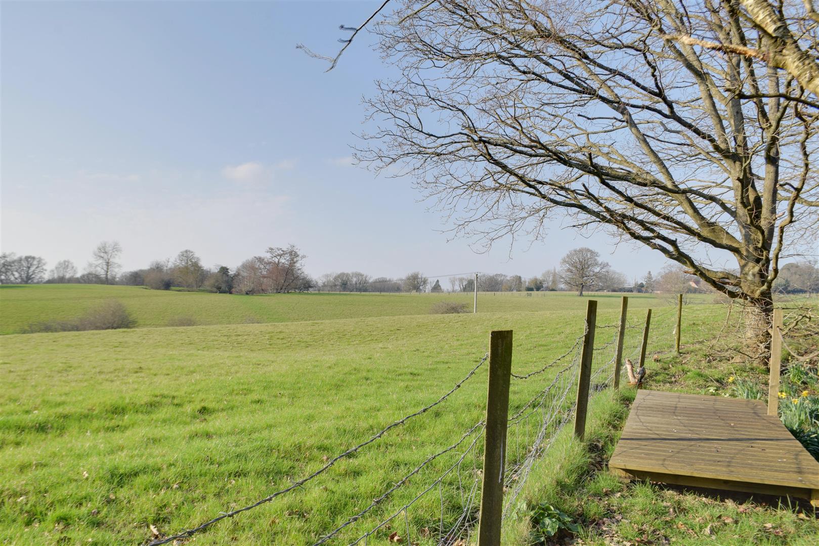 Ewhurst Lane, Northiam Rush, Witt & Wilson
